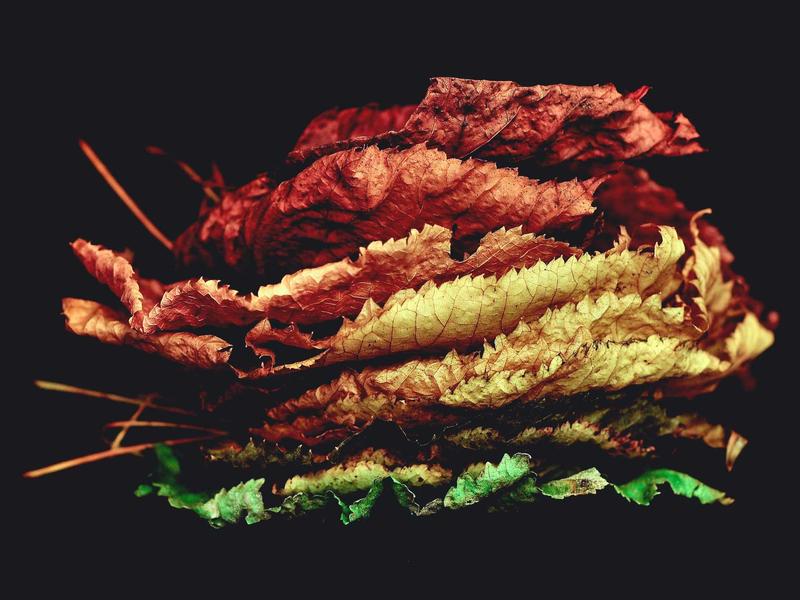 直播助眠师<br>kclfxfu.cn ASMR 触发音